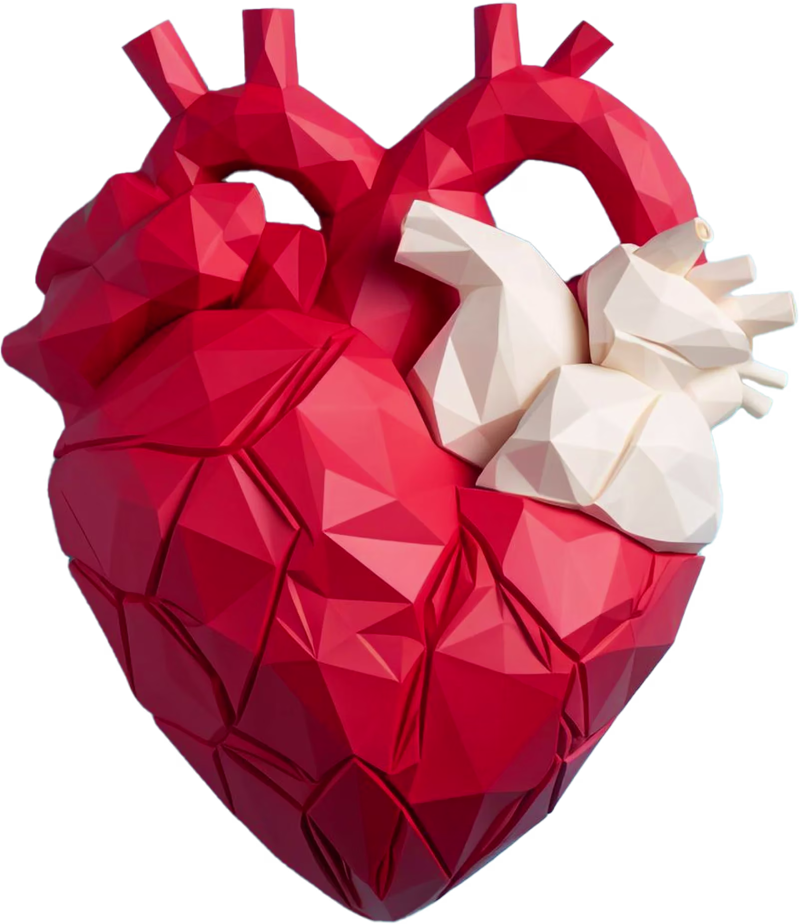 Heart